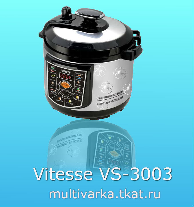 VITESSE VS 3003