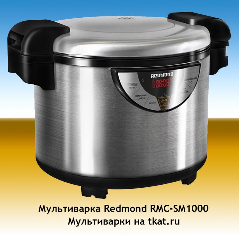 REDMOND RMC SM1000